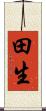 田生 Scroll
