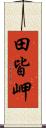 田皆岬 Scroll