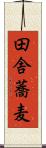 田舎蕎麦 Scroll