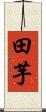 田芋 Scroll