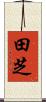 田芝 Scroll