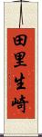 田里生崎 Scroll