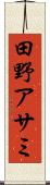 田野アサミ Scroll