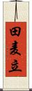 田麦立 Scroll