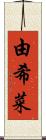 由希菜 Scroll