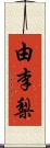 由李梨 Scroll