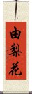 由梨花 Scroll