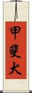 甲斐犬 Scroll