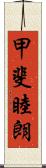 甲斐睦朗 Scroll