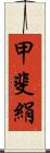 甲斐絹 Scroll