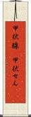 甲状腺(P) Scroll