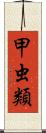 甲虫類 Scroll