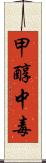 甲醇中毒 Scroll