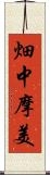 畑中摩美 Scroll