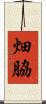 畑脇 Scroll