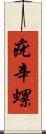 疣辛螺 Scroll