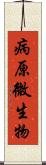 病原微生物 Scroll