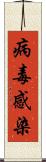 病毒感染 Scroll