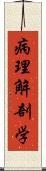 病理解剖学 Scroll