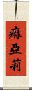 痲亞莉 Scroll
