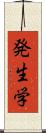 発生学 Scroll