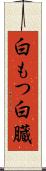 白もつ Scroll