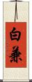 白兼 Scroll