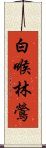 白喉林鶯 Scroll