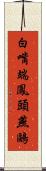 白嘴端鳳頭燕鷗 Scroll