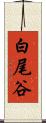 白尾谷 Scroll