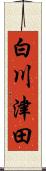 白川津田 Scroll
