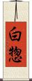 白惣 Scroll