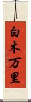 白木万里 Scroll