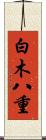 白木八重 Scroll