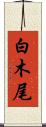白木尾 Scroll