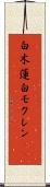 白木蓮 Scroll