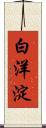白洋淀 Scroll