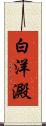 白洋澱 Scroll