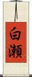 白瀬 Scroll