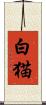白猫 Scroll