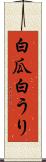 白瓜 Scroll