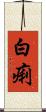 白痢 Scroll