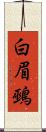 白眉鵐 Scroll
