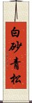 白砂青松 Scroll