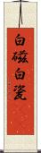 白磁 Scroll