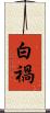 白禍 Scroll