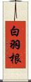 白羽根 Scroll