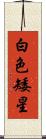 白色矮星 Scroll