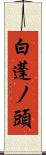 白蓬ノ頭 Scroll