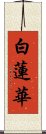 白蓮華 Scroll